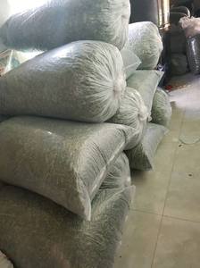 Dried/ Frozen Lemon Leaves - Lime Leaf - Lemon Leaf Powder Origin Vietnam// Ms.Reency - Product Image 5