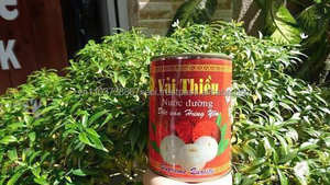 ลิ้นจี่กระป๋องในน้ำเชื่อม ราคาดี มีใบรับรอง ISO ผลไม้กระป๋อง ผลไม้เมืองร้อน สำหรับส่งออก - Product Image 3