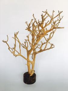 Ornamento de Coral de poliresina para acuario, caja de decoración para pecera, embalaje de tanque con Logo, color marrón ecológico, venta al por mayor - Product Image 4