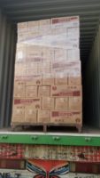 Macaroni en vrac 100% blé dur super blanc 400g certifié ISO 9001 Halal, incluant Fusilli, Spaghetti, Vermicelli, Égypte, en sac