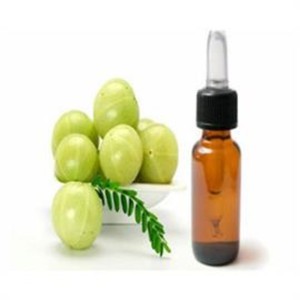 Cantidad a granel 100% Pure Natural Amla Carrier Oil para aromaterapia y mezclas de masaje - Product Image 2