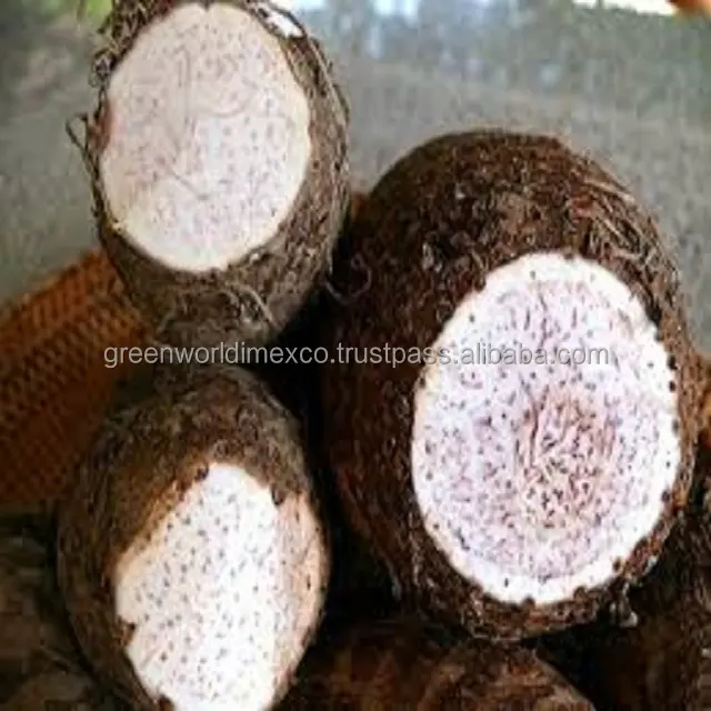 SPECIAL PRICE OF FROZEN FRESH TARO FROM VIETNAM