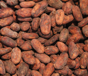 เมล็ดโกโก้อารีบาคั่ว ได้รับการรับรองจาก USDA  แห้ง  น้ำหนัก  แหล่งกำเนิด แอฟริกาใต้  คุณภาพพรีเมียม - Product Image 3