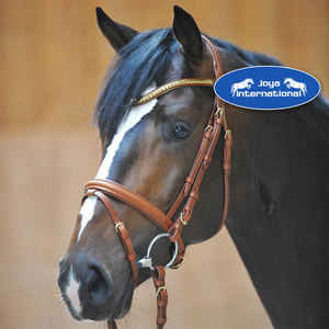 Brida para Caballo Polan con Muserola de Flash, Brida Polan con Muserola de Flash, Brida Plegable para Caballo - Product Image 2