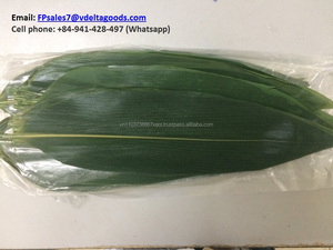 Hojas de Bambú de Alta Calidad, Grado de Exportación, de Vietnam - Product Image 3