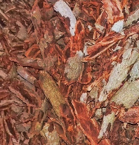 Polvo de Litsea Glutibosa/Litsea Cubeba/Polvo de Madera para Hacer Incienso - Product Image 6