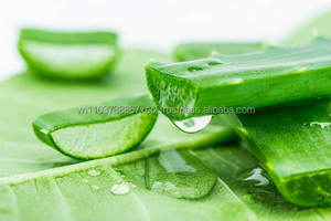 Ventas al por mayor Extracto de Aloe Vera 100% natural | Sra. Holiday - Product Image 5