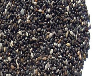 Chia negra de la India, proveedor al por mayor - Product Image 2