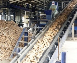 ชิปมันสำปะหลังอบแห้ง - Product Image 1