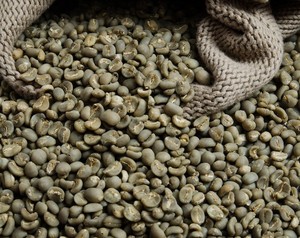 Café Robusta Verde y Tostado de Sudáfrica en Bolsa de Yute, Calidad Premium - Product Image 6