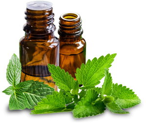 Private Label <b>Peppermint</b> Essential <b>Oil</b> Manufacturer High Menthol Content <b>Peppermint</b> <b>Oil</b> Exporter for Cosmetics and Soap Making - Product Image 3