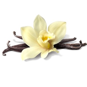 Aarnav Global Exports Huile Essentielle de Vanille et d'Arbre à Thé 100% Naturelle et Biologique Certifiée GMP, Extraite par Solvant, Blanchissante et Hydratante - Product Image 3