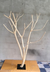 กิ่งต้นไม้ - Product Image 2