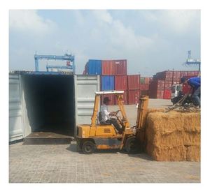 Offre Spéciale!!! Fibre de noix de coco bon marché de haute qualité - Product Image 3