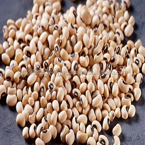 Nueva Cosecha de Habas Blancas/Habas Negras - Product Image 1