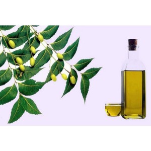 Certified <span class=keywords><strong>Organic</strong></span> <span class=keywords><strong>Neem</strong></span> Carrier <span class=keywords><strong>Oil</strong></span> 100% Puro Natural Frio Pressionado Fabricante Fornecedor Extração <span class=keywords><strong>Neem</strong></span> <span class=keywords><strong>Oil</strong></span> for Skin Hair Care - Product Image 2