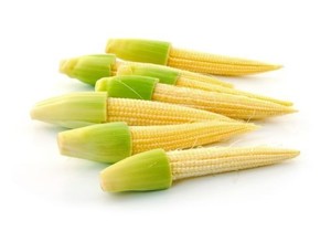 BABY CORN/HAUTE QUALITÉ-MEILLEUR PRIX - Product Image 2