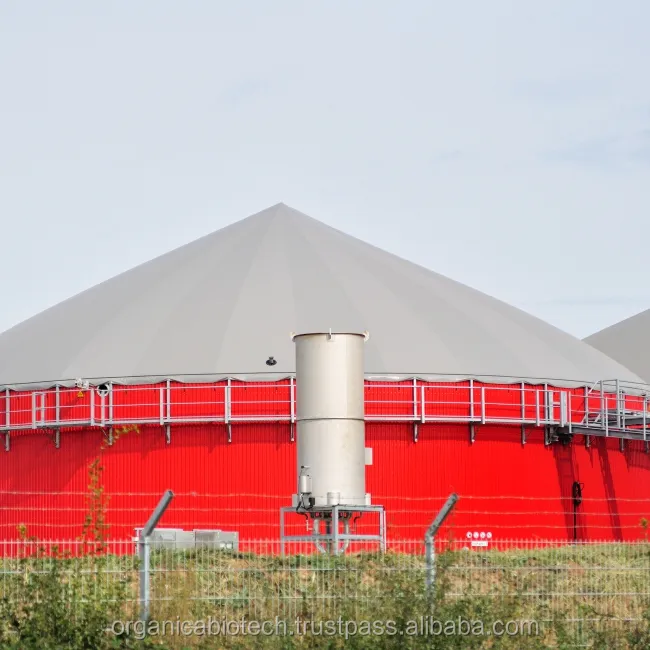 Anaerobica fanghi di degradare i batteri che producono Biogas da reattore delle acque reflue