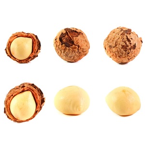 Aceite Portador de Semillas de Tamanu Orgánico Prensado en Frío (Calophyllum Inophyllum) Puro 100% Orgánico Cultivado en India, Exportadores Certificados por GMP - Product Image 4