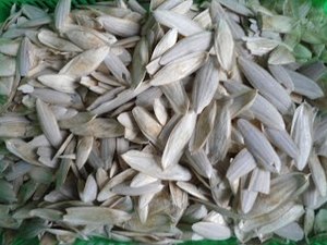 Hueso de Sepia Seco y Limpio para Alimento de Aves/Precio Económico - Buena Elección de Vietnam//WhatsApp: Sra. Pinky (+84) 35 9268 345 - Product Image 6