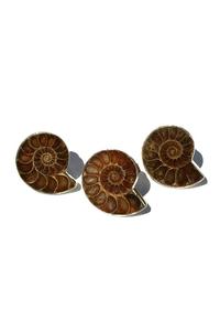 แหวนแอมโมไนต์925หินอัญมณีเงินสเตอร์ลิง - Product Image 3