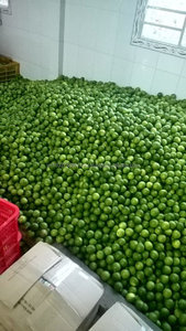 Limón fresco, limón fresco, 2021 - Product Image 6