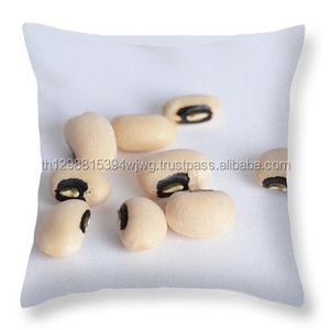Nueva Cosecha de Habas Blancas/Habas Negras - Product Image 2