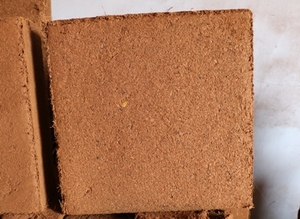 Produit agricole à vendre - Product Image 3