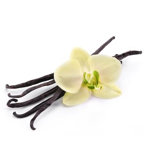 Aceite Esencial Puro de Vainilla Planifolia 100% Orgánico Certificado, Infusionado con Extracto de Bayas de Vainilla y Árbol de Té, Precio Bajo - Product Image 3