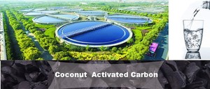 Tre Than Hoạt Tính Bán Số Lượng Lớn Than Tre Làm Sạch Túi Nguyên Liệu - Product Image 5