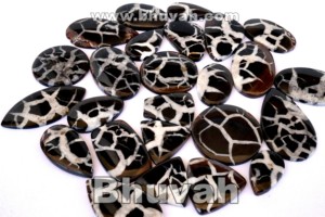 Sepatariano piedra - Product Image 2