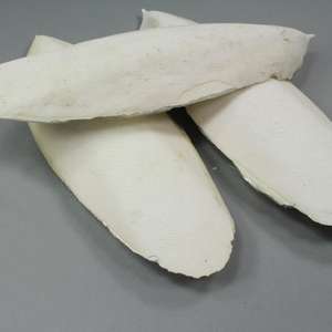 กระดูกปลาหมึกเวียดนาม ราคาแข่งขัน - Product Image 3