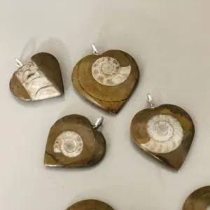 Natural Stone Heart Necklace Ammonite