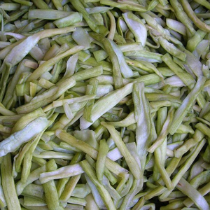 COLOCASIA ESCULENTA cuerpo 2020 - Product Image 1
