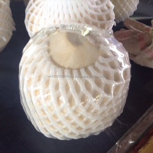 Forme de diamant de noix de coco douce fraîche Vietnam/noix de coco fraîche naturelle Vietnam en 2024 - Product Image 1