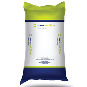 Bolsa tejida Vietnam Hoaha PP para embalaje 50 kg con alta calidad nueva - Product Image 1