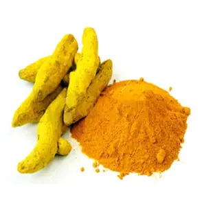 Fornitore di polvere di Curcuma Longa pura al 100% dall'india