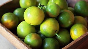 Kumquat tiêu chuẩn xuất khẩu số lượng lớn giá cả cạnh tranh cho bán buôn - Product Image 6