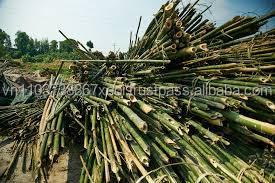 Postes de bambú para construcción - Product Image 5