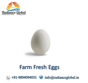 Farm Fresh Poultry Eggs - Product Image 4
