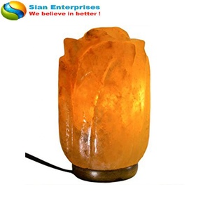 Lámpara de cristal Rosa tallada a mano de sal rosa del Himalaya, respetuosa con el medio ambiente, estilo Feng Shui, diseño de flores, Bombilla de cable eléctrico-Sian Enterprises - Product Image 3