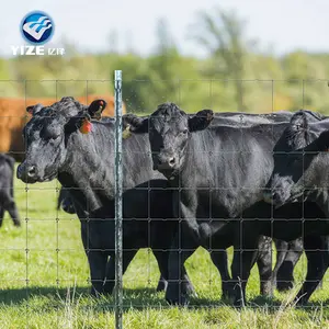 लाइव स्टॉक उत्पादन मवेशी खेत क्षेत्र बाड़ लगाने गाय बाड़ जाल