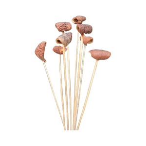 Palo de pétalo de planta Natural hecho a mano, decoración del hogar, ramas de tallo de seda Artificial de alta demanda, Navidad, estilo de Halloween, interior - Product Image 1