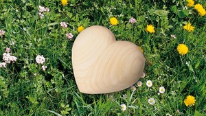Aile d'aigle coeur Urn/aigle crémation Urn fournitures funérailles brasworld inde - Product Image 3
