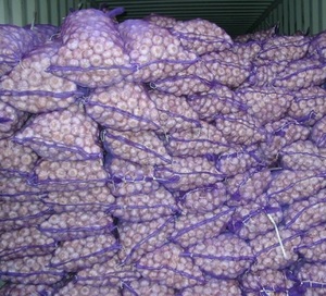 Poudre d'extraction d'ail fraîche/gel, essence naturelle, prix abordables - Product Image 1