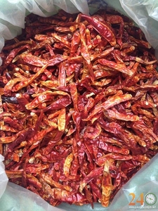 Chile Rojo Entero Seco, Tipo de Procesamiento Crudo, WhatsApp + 0084 845 639 639 - Product Image 4