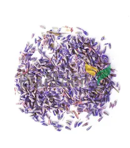 Bunga Lavender (Kering Di Udara)-Lavandula