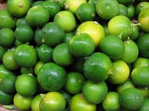 POLVO CALAMANSI-POLVO KUMQUAT - Product Image 2
