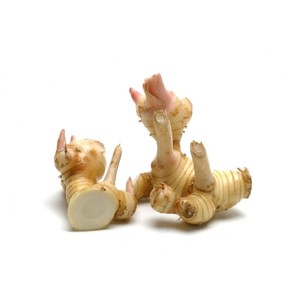 Aceite esencial de Galanga Natural puro, aceite de raíz de Alpinia Officinarum, aceite difusor de masaje de aromaterapia, aceite 100% orgánico al por mayor a granel - Product Image 2