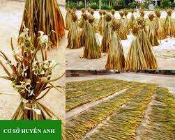 MEILLEURE VENTE MATIÈRE PREMIÈRE GINGERDRY GINGEMBRE - Product Image 5